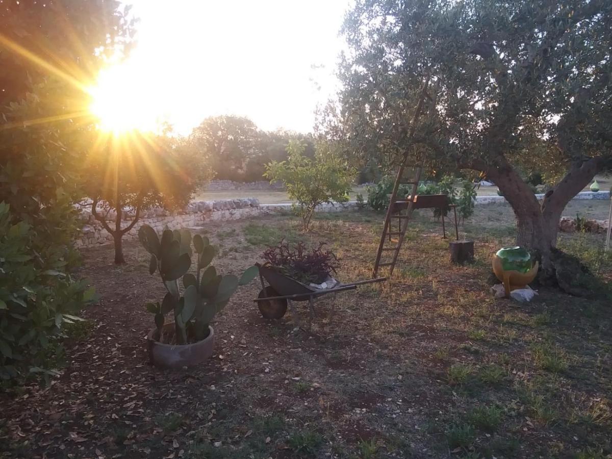 奇斯泰尼诺Trullo Gio别墅 外观 照片