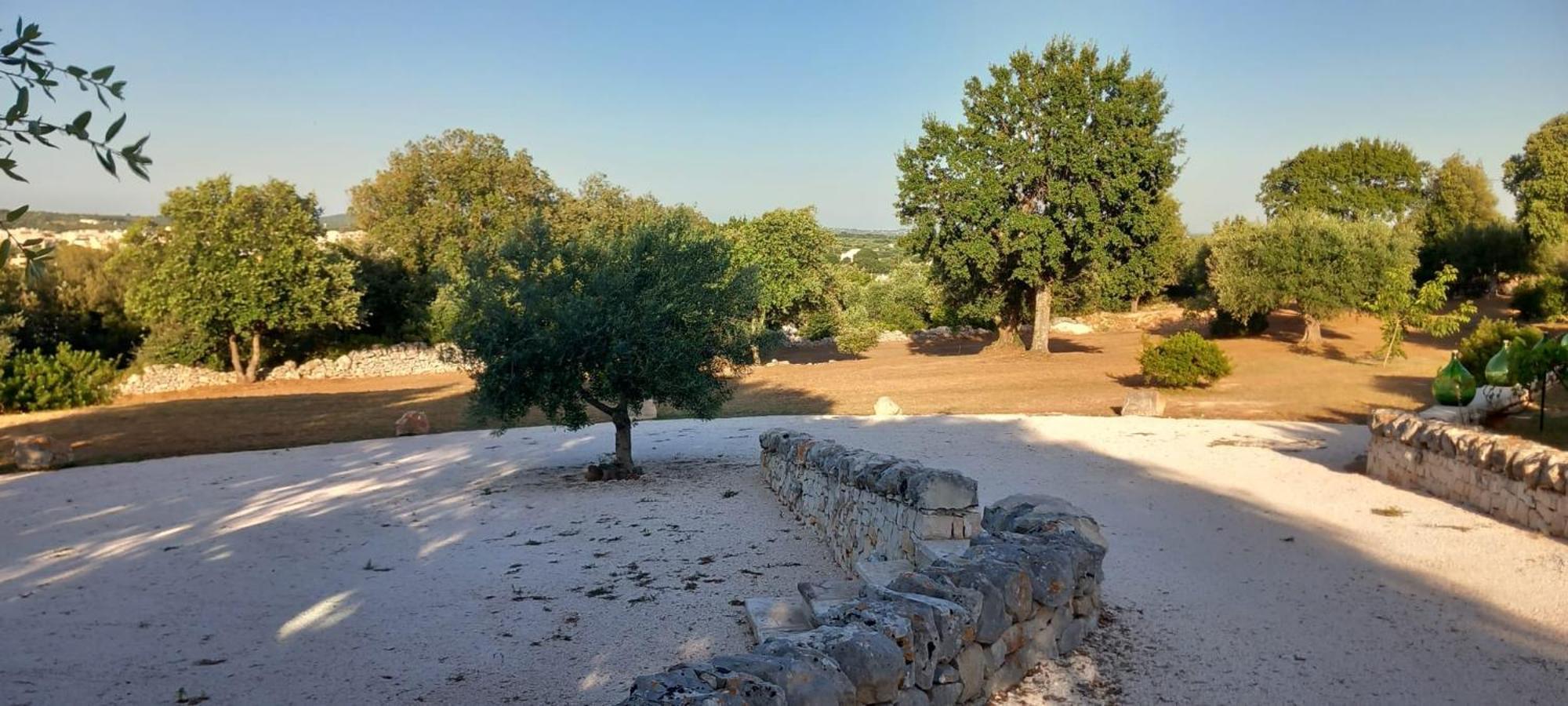 奇斯泰尼诺Trullo Gio别墅 外观 照片