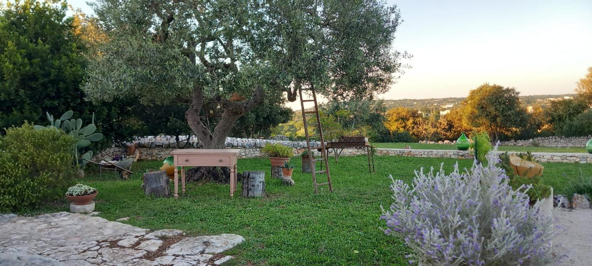 奇斯泰尼诺Trullo Gio别墅 外观 照片